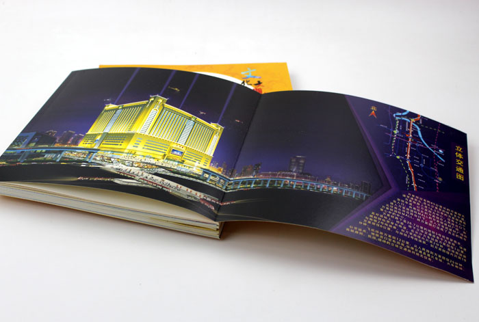 萬家麗005 萬家麗005