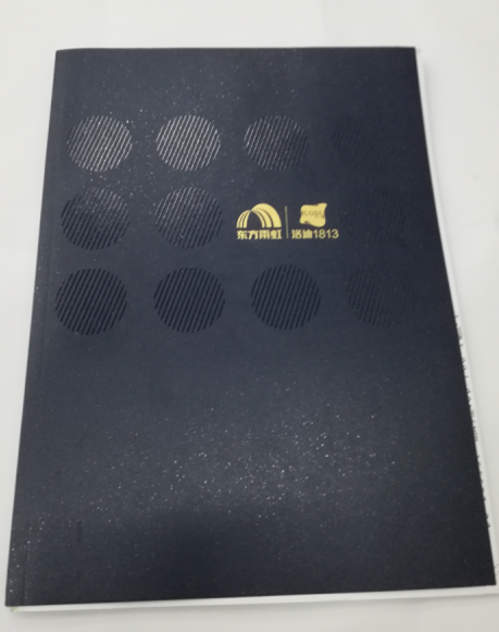 洛迪環(huán)?？萍计髽I(yè)宣傳畫冊印刷圖1