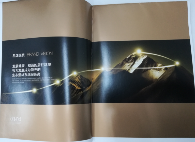 洛迪環(huán)?？萍计髽I(yè)宣傳畫冊印刷圖2