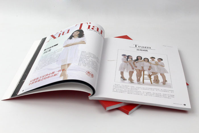 細(xì)莫食品選擇與長沙印刷廠日大彩印合作，打造精品宣傳畫冊